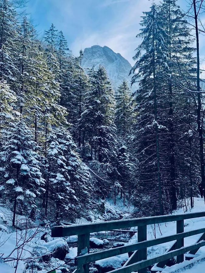 Giewont Mountain View Apartment زاكوباني 0*,  بولندا
